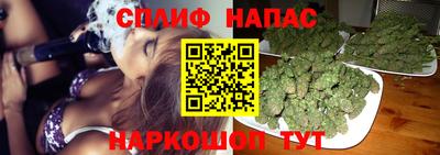 молекула духа Будённовск