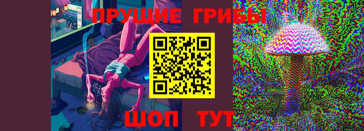 Псилоцибиновые грибы Psilocybine cubensis  Вход с VPN  Старая Русса 